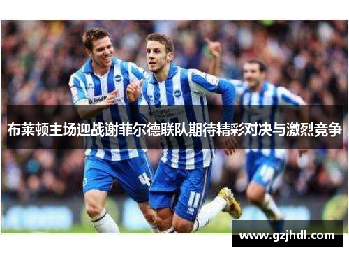 布莱顿主场迎战谢菲尔德联队期待精彩对决与激烈竞争