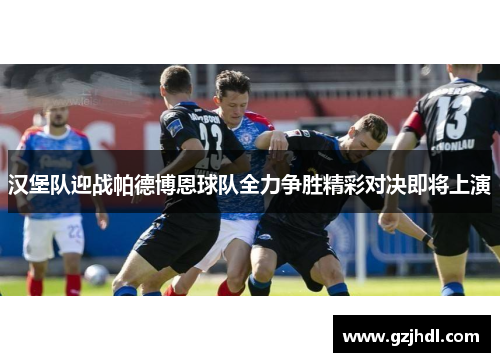 汉堡队迎战帕德博恩球队全力争胜精彩对决即将上演